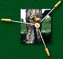 bf_squirrel_A_2160.jpg